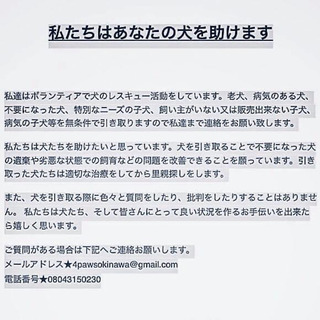 ドッグフード（ドライ、ウェット、おやつ等）、ペットシーツ、犬用ベ...