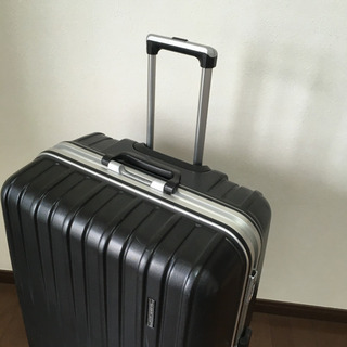 トラベルエキスパート　キャリーケースTSAロックシステム付き