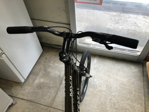 LOUIS GARNEAU ルイガノ 自転車 MV-Ⅱ 20インチ 8段変速 410サイズ