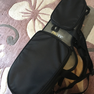 アルトサックス（アンティグア　プロワン）