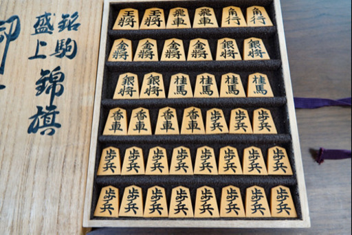 将棋セット 将棋・専門書セット 将棋セット おまけ(入門書)付き Amazon