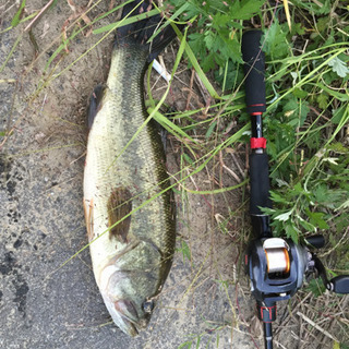 釣り仲間募集！