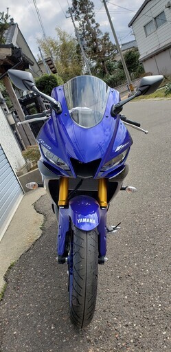 ヤマハ　ＹＺＦ－Ｒ２５　ＡＢＳ　ディープパープリッシュブルーメタリックＣ　２０１９モデル　乗り出し価格！