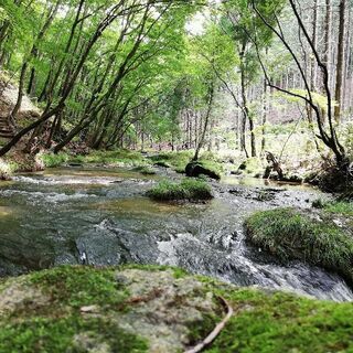 6/7日(日)福島県で一緒に登山しませんか？(マウント茨城)