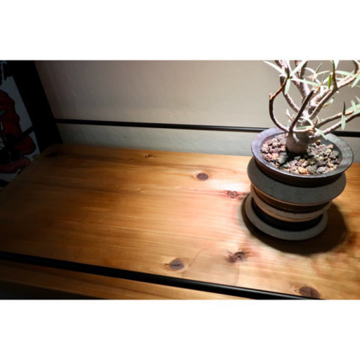 植物 棚 アイアンラック lnoka 無印