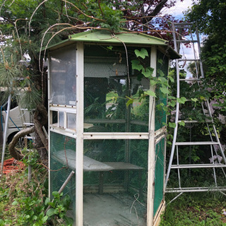 ◆取引終了◆鳥小屋　大型　約210サイズ（もらって下さい）