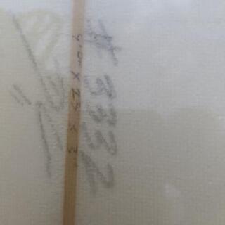 e.p.sロングボード フィン DAKINEソフトケース ｘｍリーシュコード