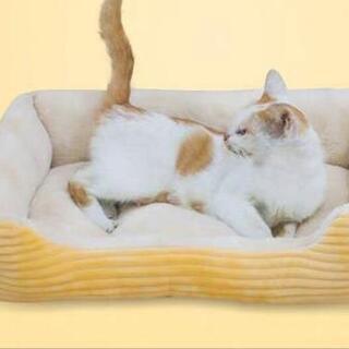 新品 洗える ベッド 小型犬 猫 ソファー 黄色 03
