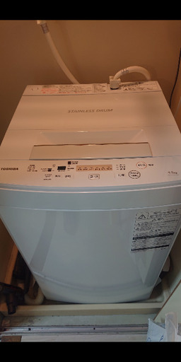 TOSHIBA 全自動洗濯機 6月中旬