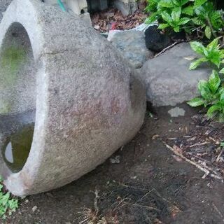 石臼 メダカ飼育 容器