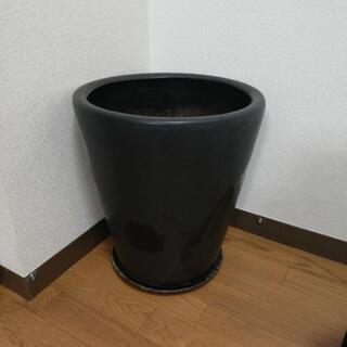 植木鉢　鉢サラ