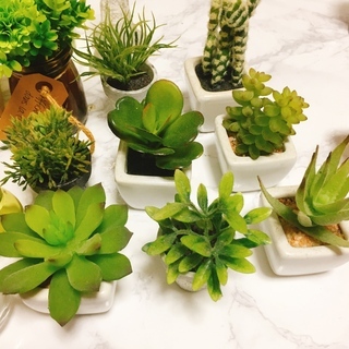 フェイクグリーン 光触媒 Ct触媒 人工観葉植物 ミニサボテン 雑貨消臭剤 Rin 大泉学園の芳香剤 消臭剤の中古あげます 譲ります ジモティーで不用品の処分