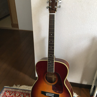 Morris MF-207 - TS | Red Guitars Online Store