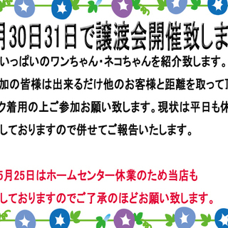 5月30日31日ワンちゃんネコちゃんの譲渡イベント実施いたします。