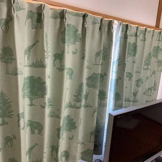 グリーンのカーテンです。