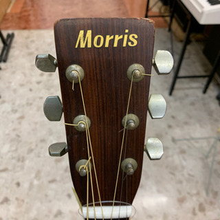MD-506 モーリス 見直す アコギ Morris MD-506 モーリス 見直す アコギ Morris