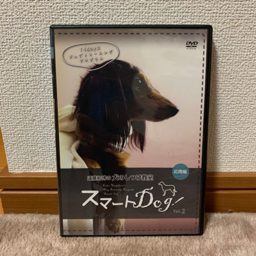 遠藤和博の犬のしつけ教室DVD3本セット | ptpnix.co.id