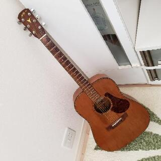 k.yairi 50-lo 小ぶりなラウンドショルダー ヤイリギター k.yairi 50-lo 小ぶりなラウンドショルダー ヤイリギター