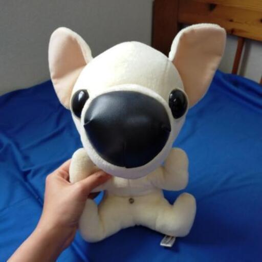 The Dogぬいぐるみ くま 土浦のおもちゃ ぬいぐるみ の中古あげます 譲ります ジモティーで不用品の処分