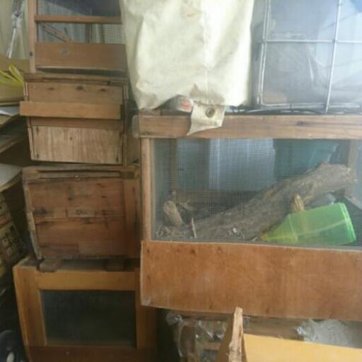 木の虫かご カブトムシなどに まみ 大和郡山のその他の中古あげます 譲ります ジモティーで不用品の処分 木の虫かご カブトムシなどに まみ 大和郡山のその他の中古あげます 譲ります ジモティーで不用品の処分