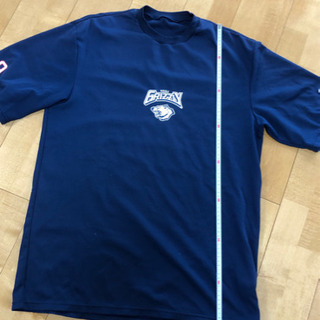 日本体育大学 グリズリー Tシャツ レア 貴重 美品