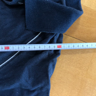 日本体育大学 グリズリー ポロシャツ 貴重