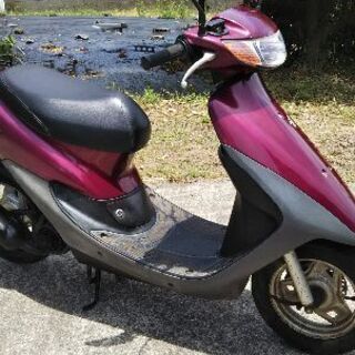 ライブディオ パワーの2サイクル 【公式通販】