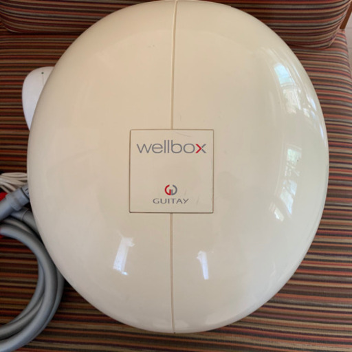 wellbox エンダモロジー家庭用美品（エンダモロジー Wellbox