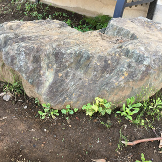 庭の石