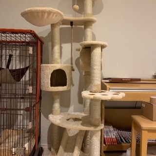 猫タワー　使用2週間程度