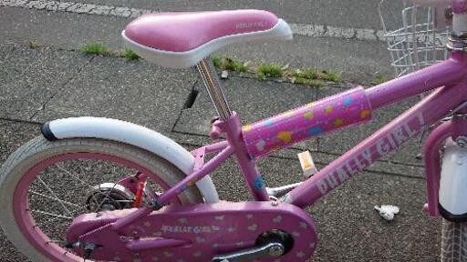 超綺麗な子供自転車