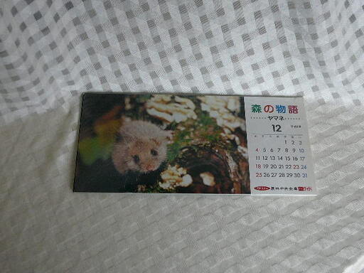 ポストカード ケース割れ 1995年 カレンダー 森の物語 ヤマネ 西村豊写真集 ワリノー 農林中央金庫 リツノー ワイド 動物 アニマル インディ 堺の家庭用品 その他 の中古あげます 譲ります ジモティーで不用品の処分 ポストカード ケース割れ 1995年 カレンダー 森の物語 ヤマネ 西村豊写真集 ワリノー 農林中央金庫 リツノー ワイド 動物 アニマル インディ 堺の家庭用品 その他 の中古あげます 譲ります ジモティーで不用品の処分