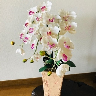 【美品】造花の胡蝶蘭