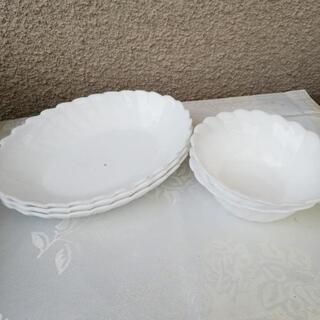 白い皿５枚セット