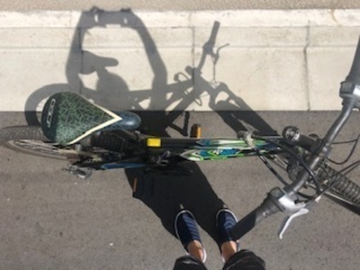 GT アグレッサー 24インチ ジュニア マウンテンバイク Aggressor