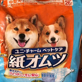 ペット用　紙おむつ　L オムツ　バラ売り可