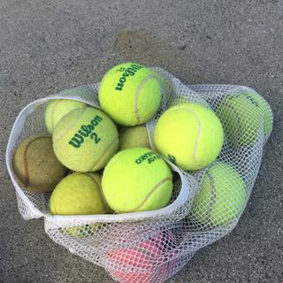 硬式テニスボール 11個