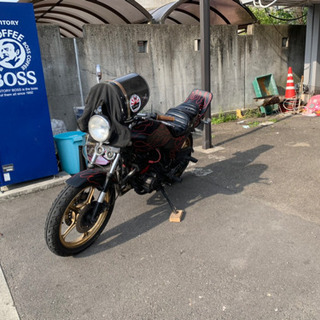 GPZ250