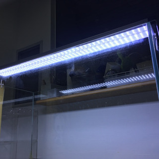 テクニカ　LEDライトクリアー　90