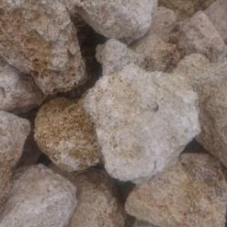 琉球石灰岩10～30センチ1キロ