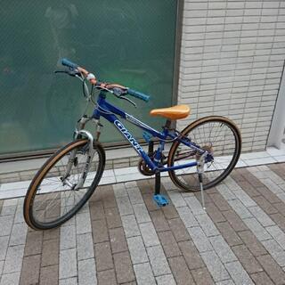 GIANT 自転車