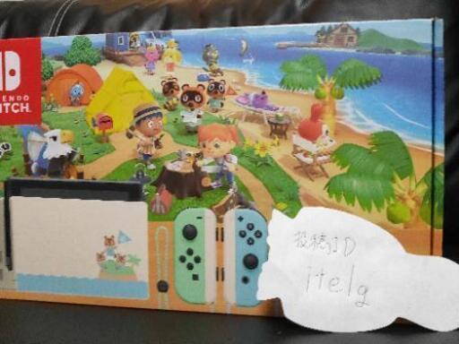 Nintendo Switch　あつまれどうぶつの森セット