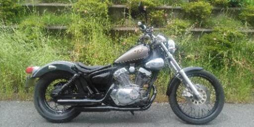 ビラーゴ250　(5)