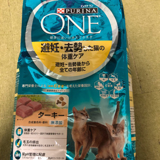 猫　キャットフード0円