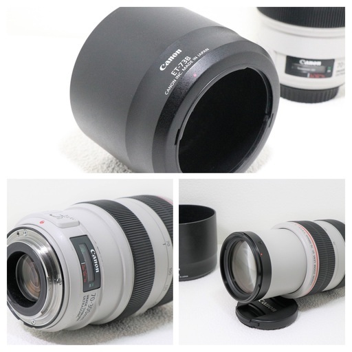 超美品　Canon キャノン 望遠ズームレンズ EF70-300mm F4-5.6L IS USM