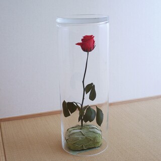 ★50cm『大型ガラス花瓶』バラ プリザ付【ロングカクテルフラワ...