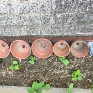 植木鉢 鉢 陶器   5個セット ガーデニング  
