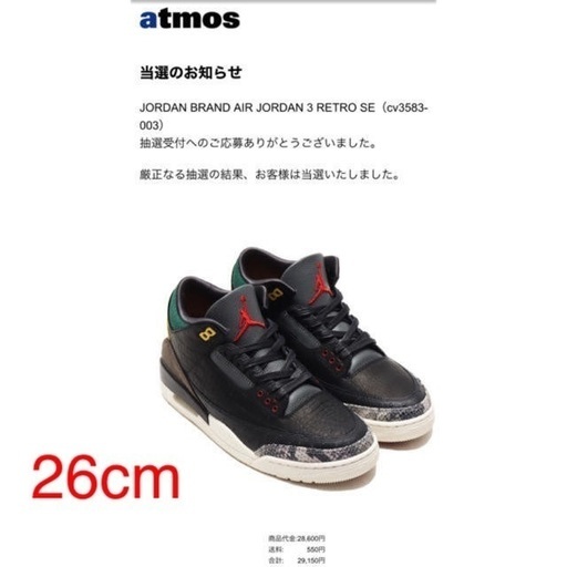 スニーカー JORDAN BRAND AIR JORDAN 3 RETRO SE