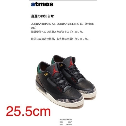 スニーカー JORDAN BRAND AIR JORDAN 3 RETRO SE 25.5cm