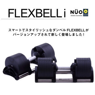 限定色】新型フレックスベル20kg×2 [2kg刻み]